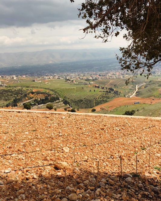 Bekaa Valley